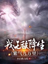 紫气九万里无弹窗