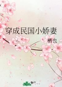 穿成民国小娇妻 栖也