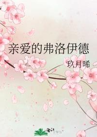 亲爱的弗洛伊德