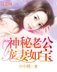 神秘老公宠妻如宝