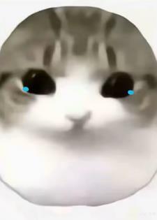 恋爱时长限额?这破爱爱谁谁!