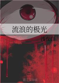 流浪的极光